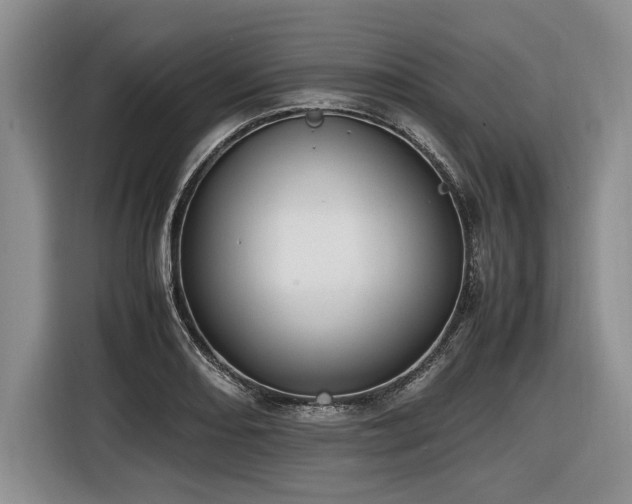 X0000116621082200912111151