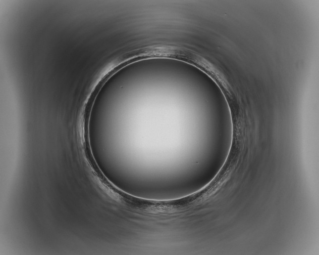 X0000116621083200912111151
