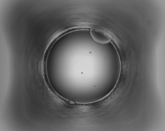 X0000116621085200912111151