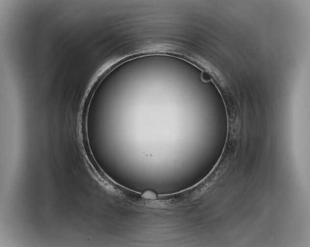 X0000116621086200912111151