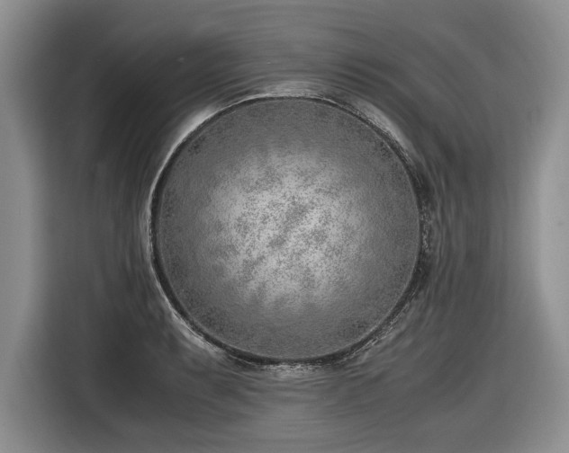 X0000116621087200912111151