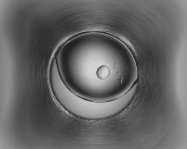 X0000116621088200912111151