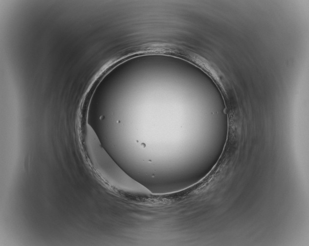 X0000116621091200912111151
