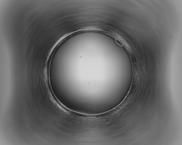 X0000116621092200912111151