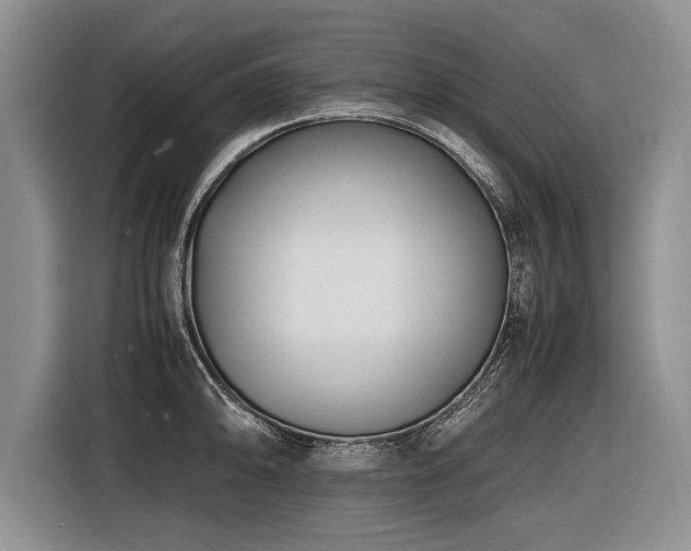 X0000116621094200912111151