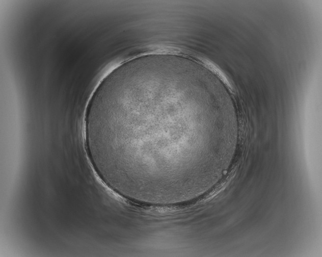 X0000116621095200912111151