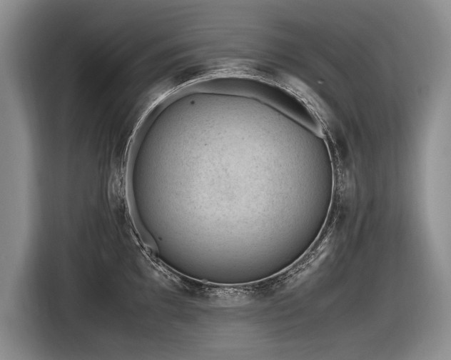 X0000116621097200912111151