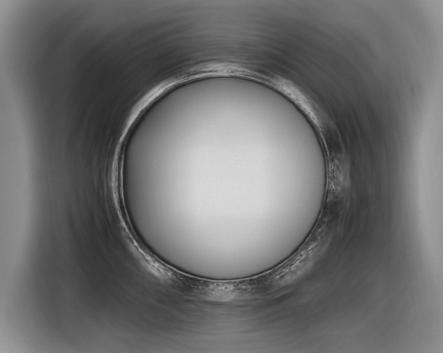 X0000116621098200912111151