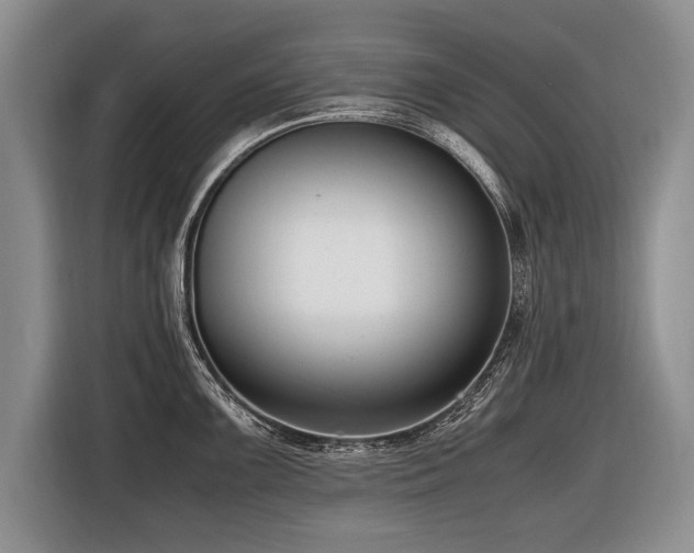X0000116621099200912111151
