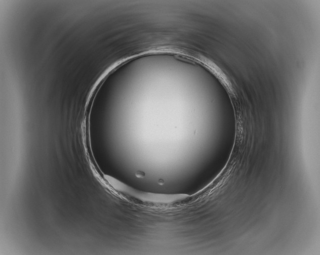 X0000116621100200912111151