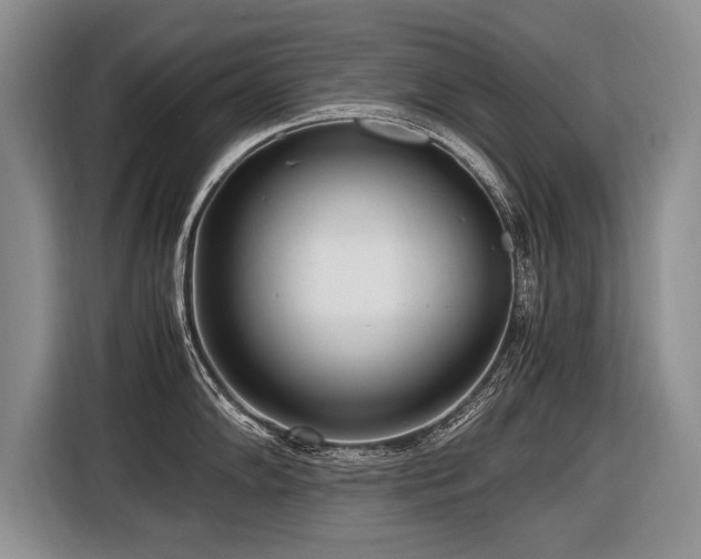 X0000116621102200912111151