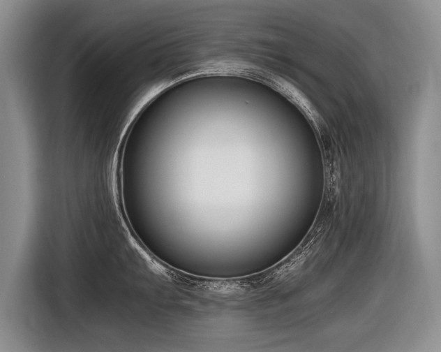 X0000116621103200912111151