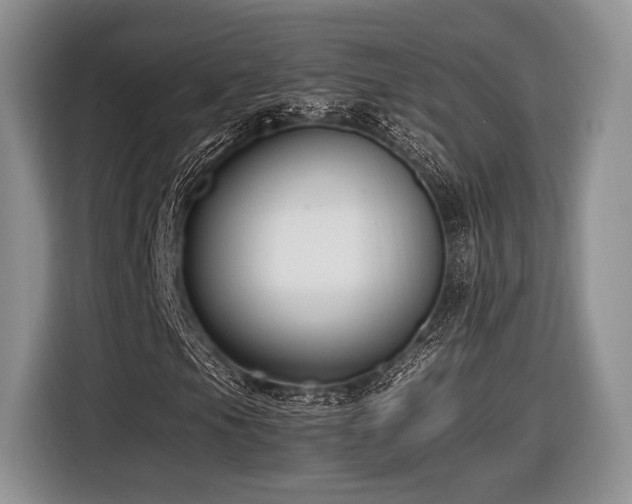 X0000116621105200912111150