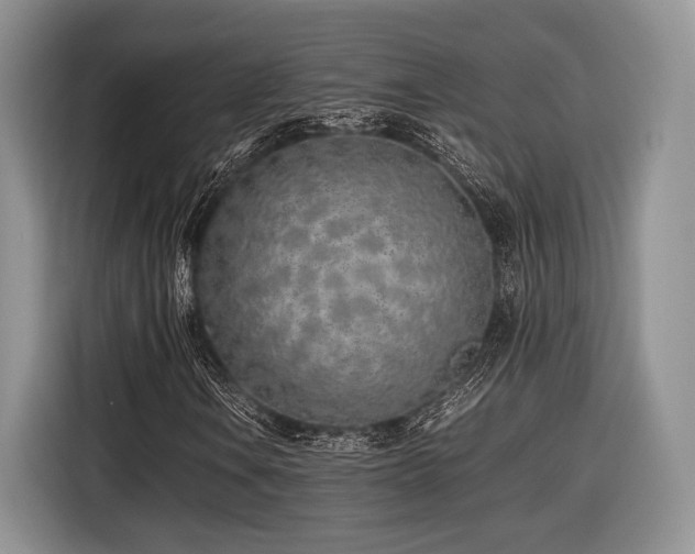 X0000116621106200912111150