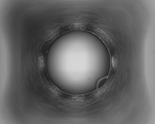 X0000116621107200912111150