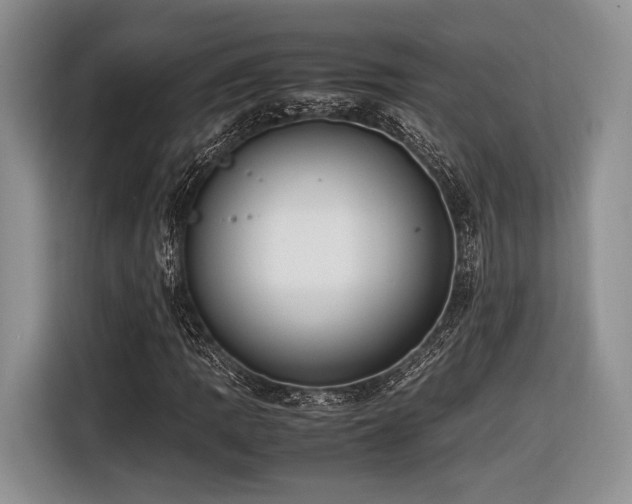 X0000116621109200912111150