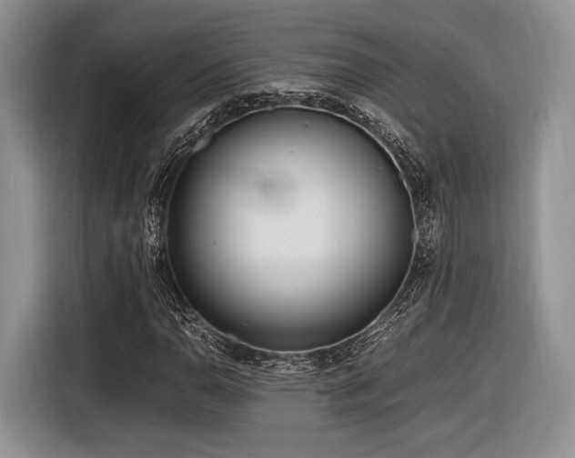 X0000116621110200912111150