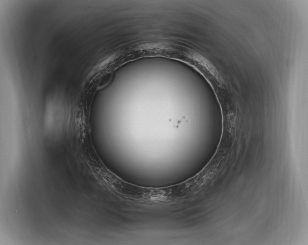 X0000116621111200912111151