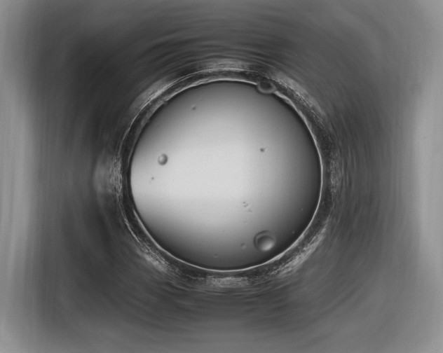 X0000116621113200912111151