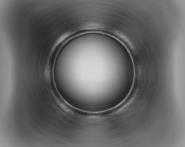 X0000116621114200912111151