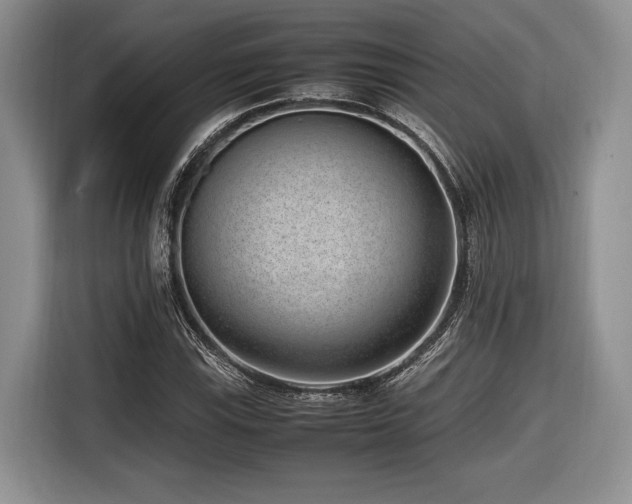 X0000116621115200912111151