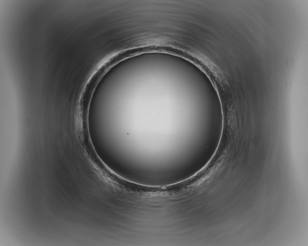 X0000116621118200912111151
