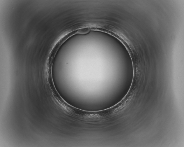 X0000116621119200912111151