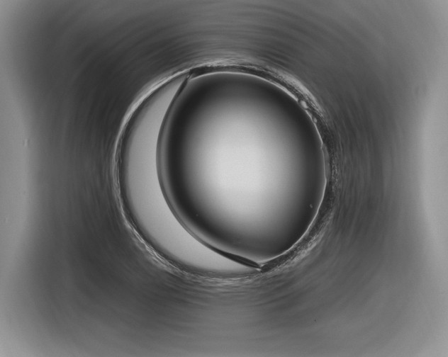 X0000116621122200912111151