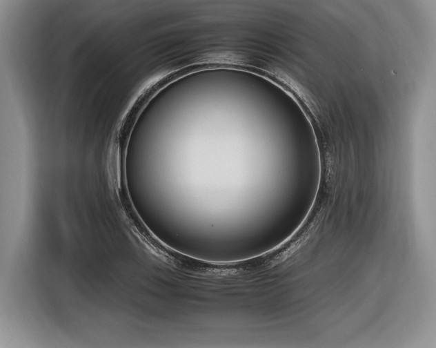 X0000116621123200912111151
