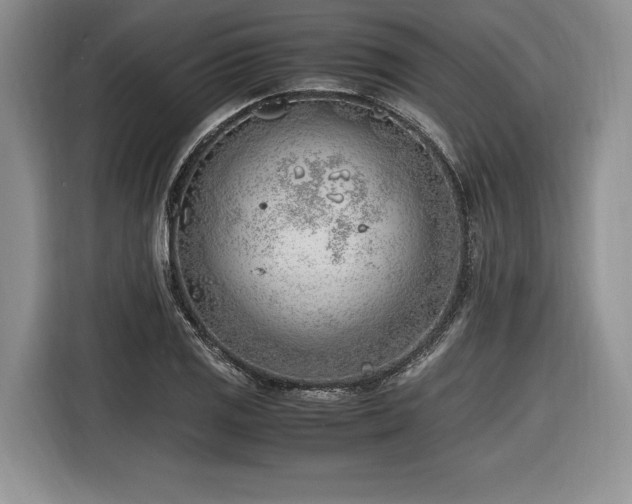 X0000116621125200912111151