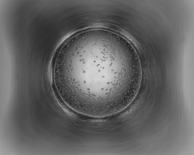X0000116621127200912111151