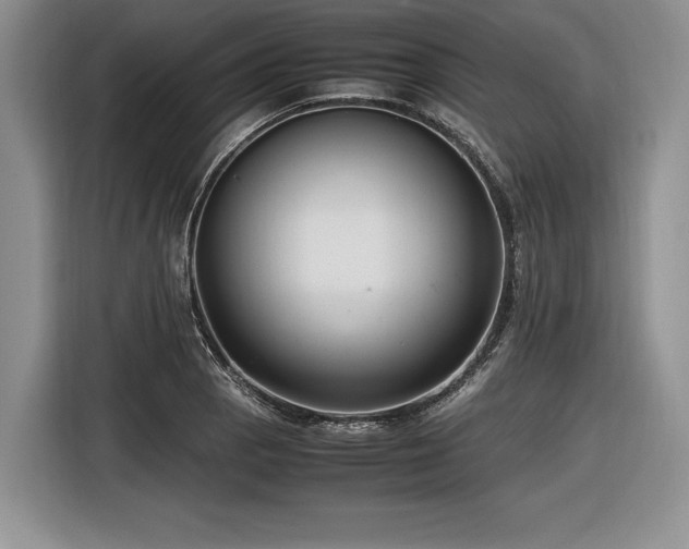 X0000116621129200912111151