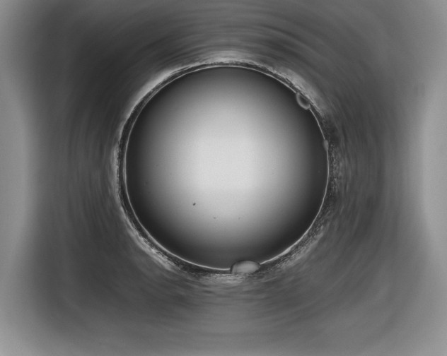 X0000116621134200912111151