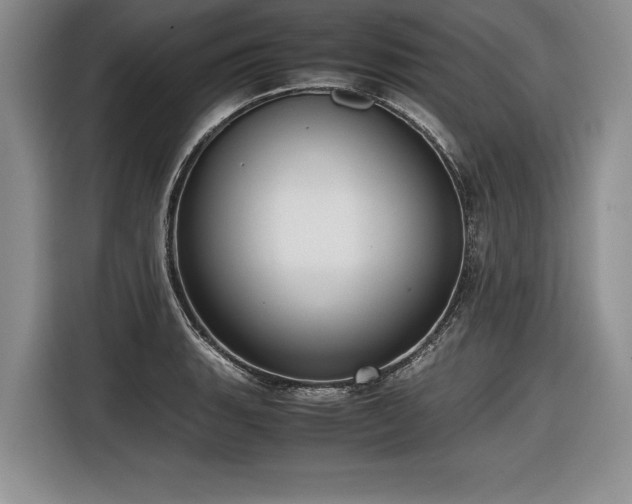 X0000116621135200912111151