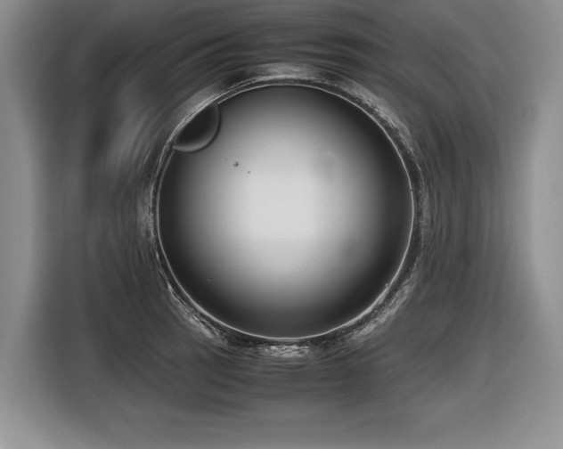 X0000116621137200912111151