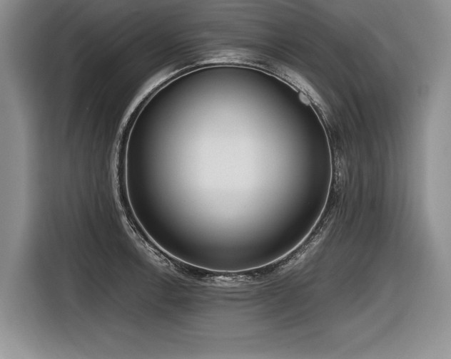 X0000116621138200912111151