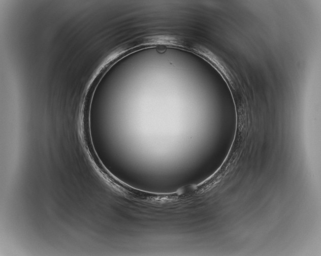 X0000116621139200912111151