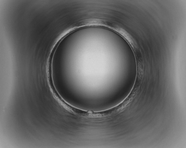 X0000116621142200912111151