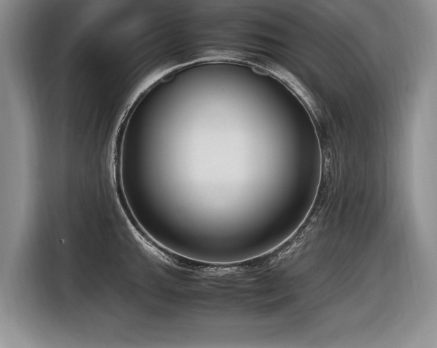 X0000116621143200912111151