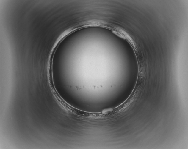 X0000116621146200912111151