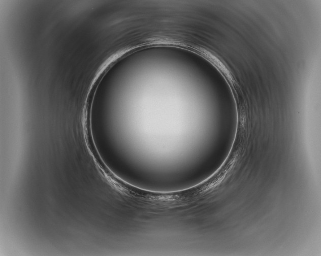 X0000116621149200912111151