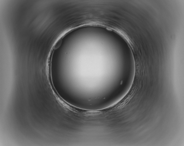 X0000116621151200912111151