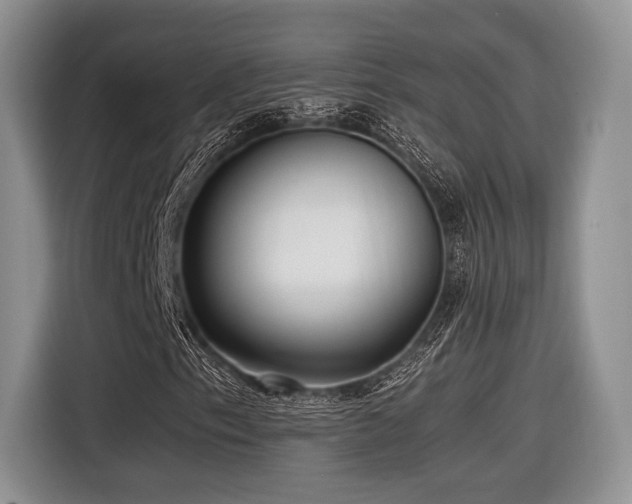 X0000116621153200912111150