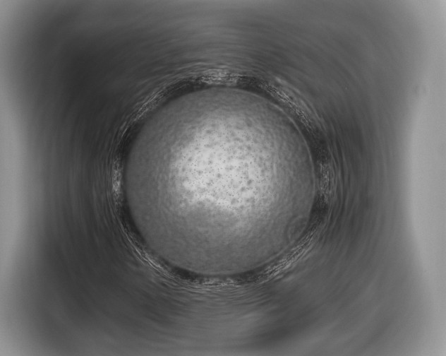 X0000116621154200912111150