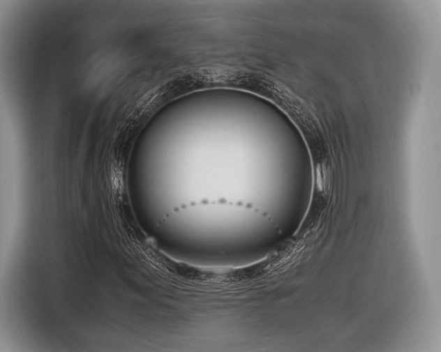 X0000116621155200912111150