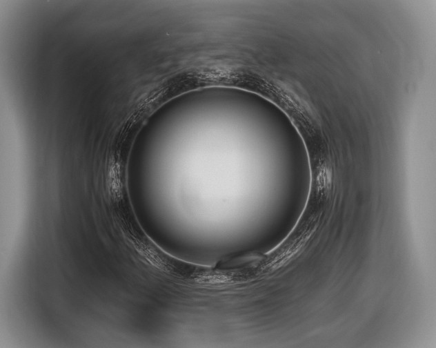 X0000116621156200912111150