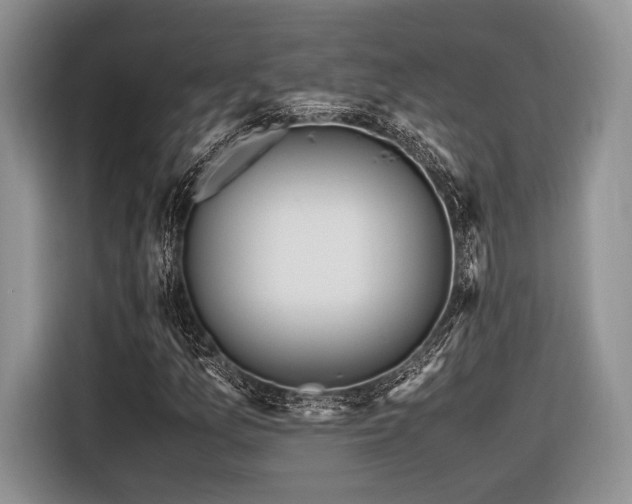 X0000116621157200912111150