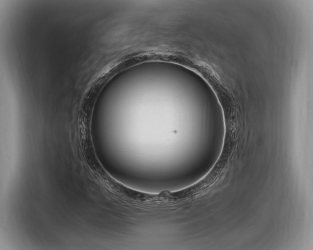 X0000116621159200912111150