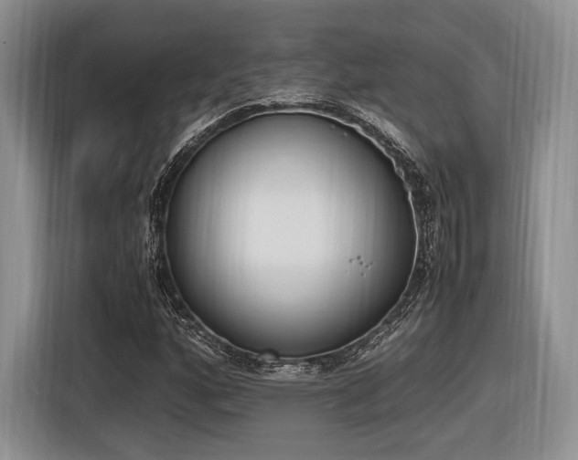 X0000116621160200912111150