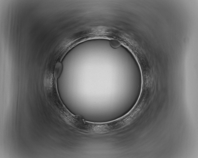 X0000116621161200912111150